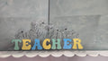Teacher